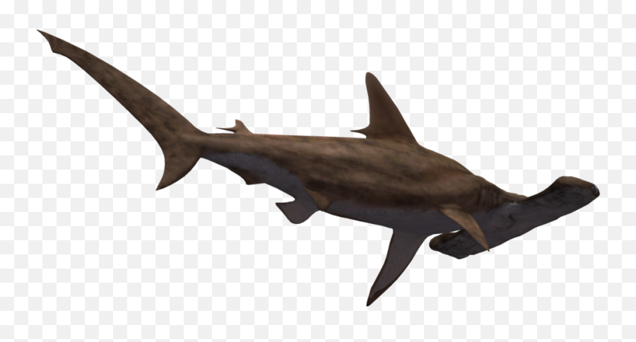 Clipart Baseball Shark Clipart - Hammerhead Shark Transparent Emoji,San Jose Sharks Emoji