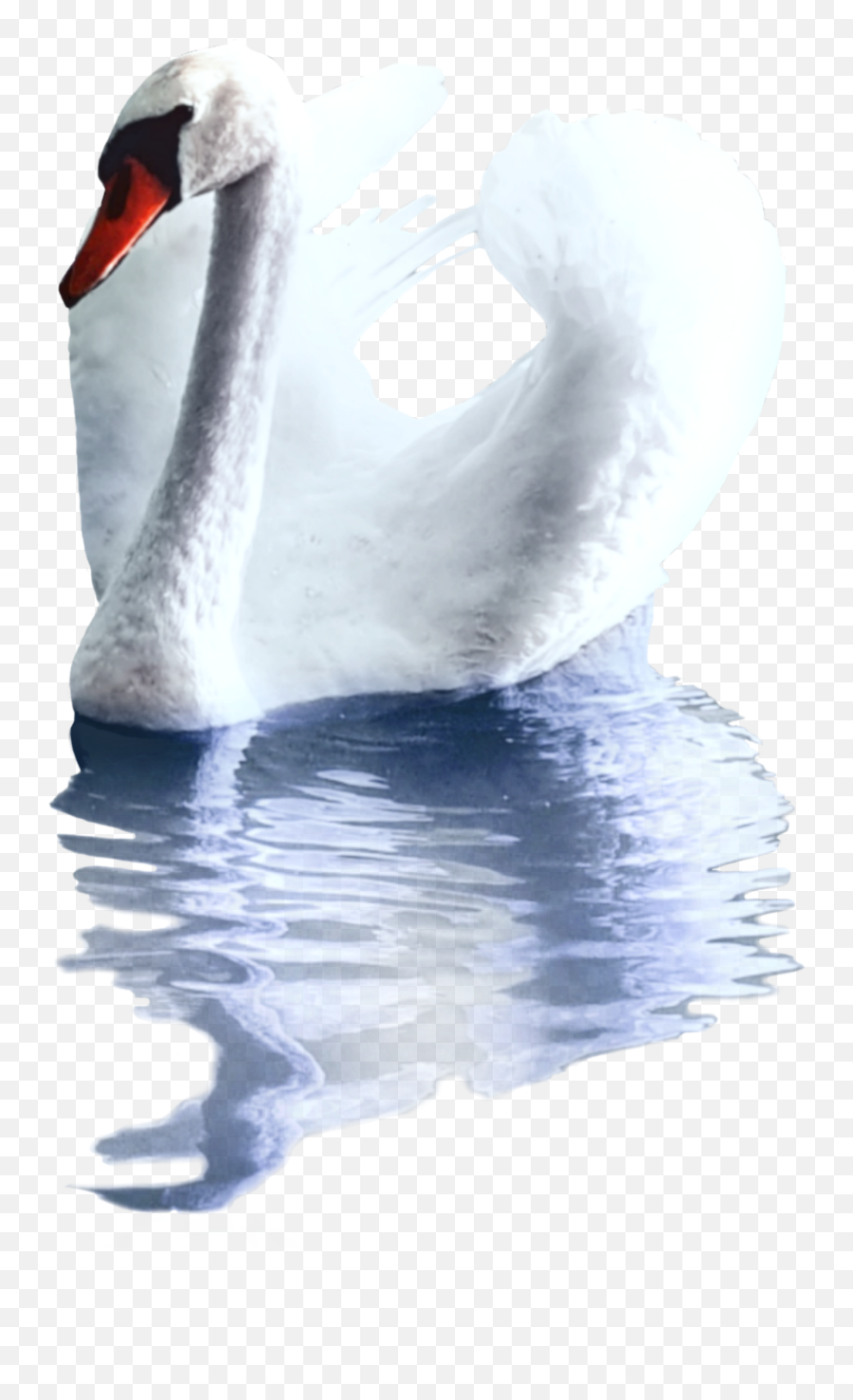 Discover Trending Swan Stickers Picsart - Mute Swan Emoji,Is There A Swan Emoji