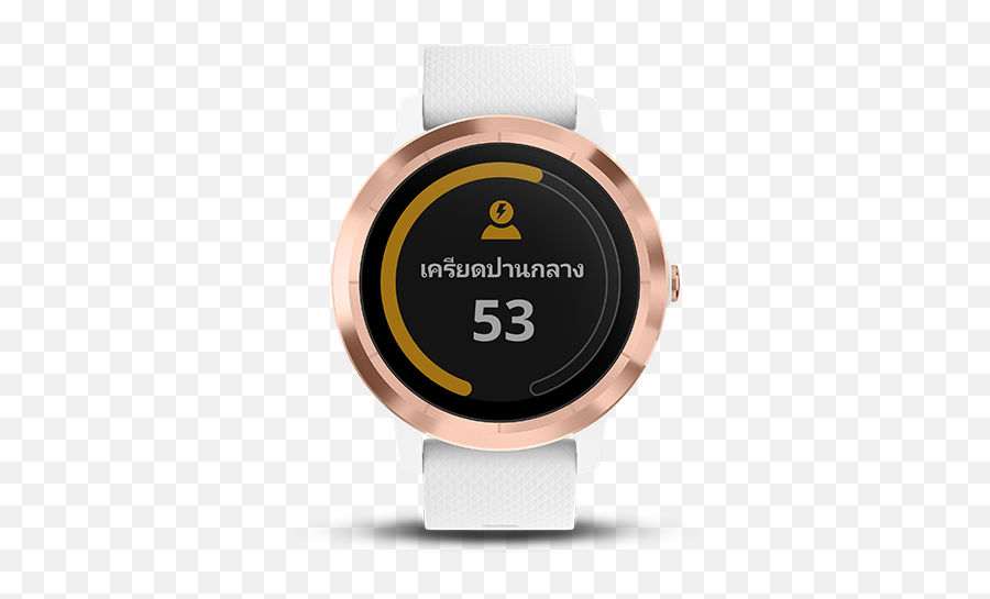 Garmin Vivoactive 3 Gis Co Ltd - Garmin Vivoactive 3 Rose Gold Emoji,Emotion Gray Silicone Smartwatch