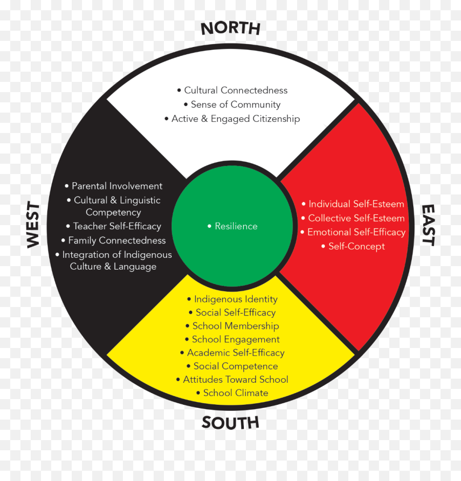 Indicators Of Success Within The Medicine Wheel Bu Cares - Medicine Wheel Chart Emoji,What Kind Of Chart Is The Emotion Wheel'