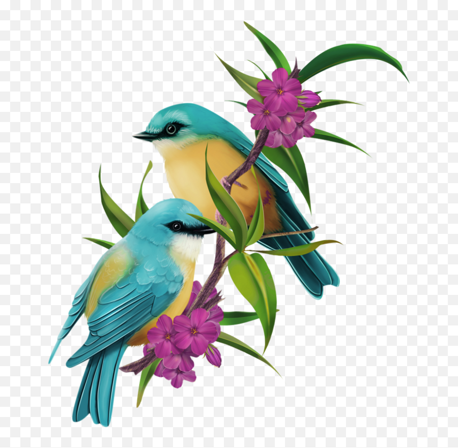 Pajaros Bird Drawings Bird Art Flower Painting - Blessed Friday Emoji,Emojis Columbine