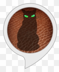 Alexa Skills - Owl Emoji,Ech Cat Emotion