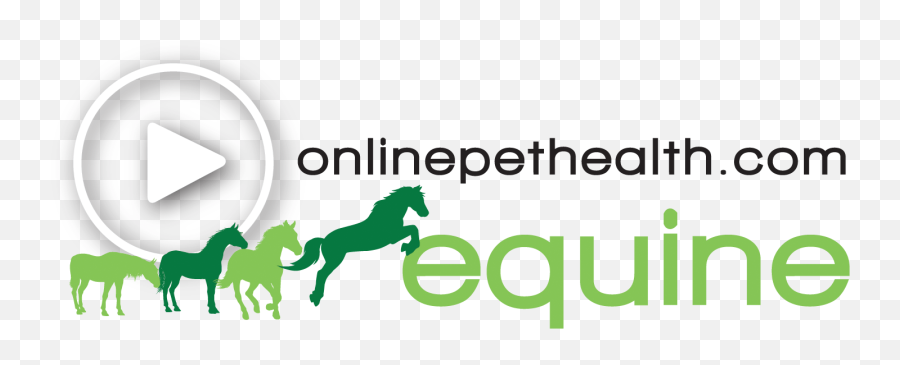 Equine Physiotherapy Rehab - Language Emoji,Horse Facial Emotions