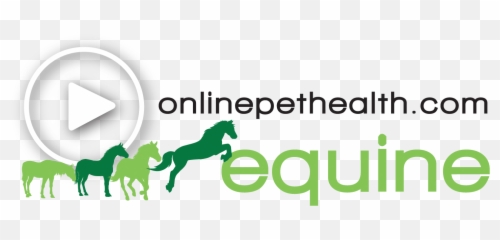 Equine Physiotherapy Rehab - Language Emoji,Horse Facial Emotions