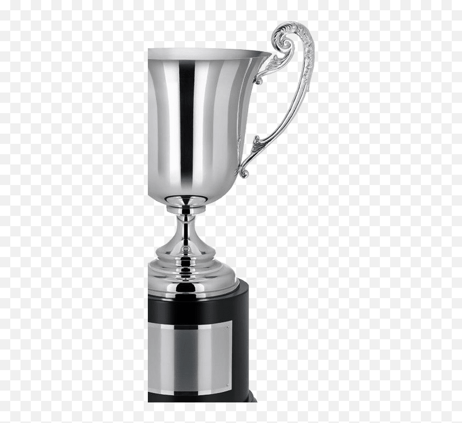 Trophies Inline Skating Skate Exclusive Trophy Acrylic Free Emoji,Silver Trophy Cup Emoji