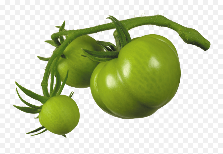 Green Tomato Chutney - Preserves Recipes Kathu Kat Emoji,Green Plus Emoji