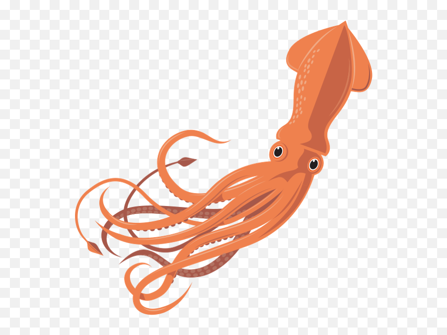 Sea Animals Baamboozle - Common Octopus Emoji,Emojis Squid