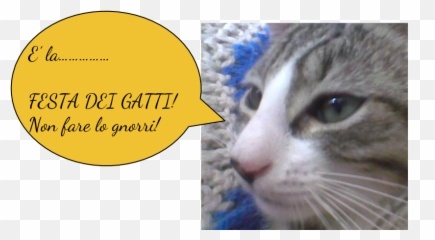 Febbraio 2015 - Photo Caption Emoji,Succubes Emoticon