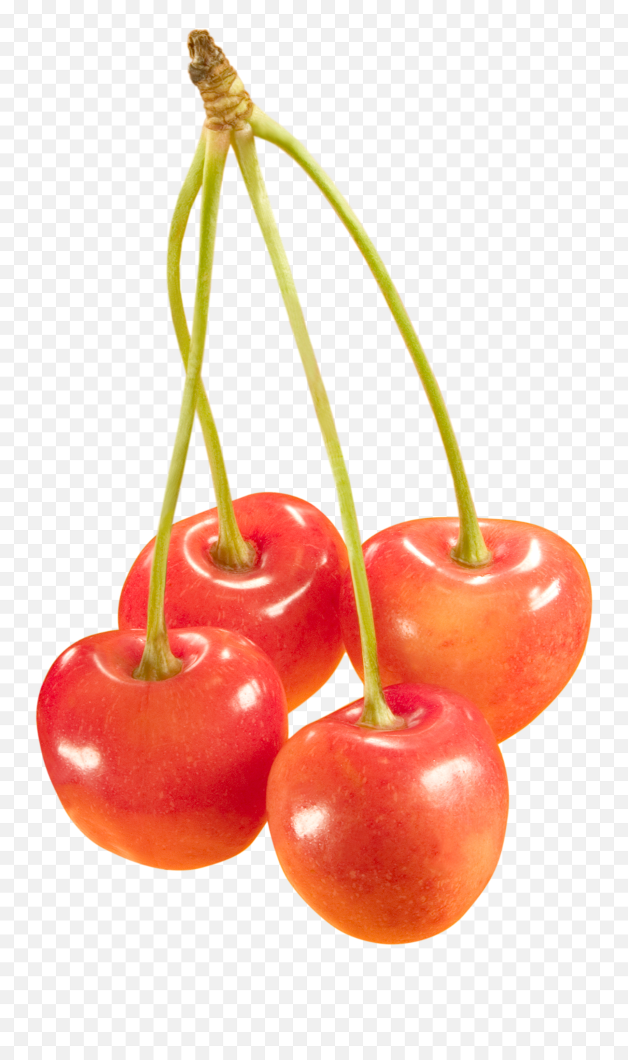 Cherries Png Image Resolution - Png Emoji,Cherries Emoji