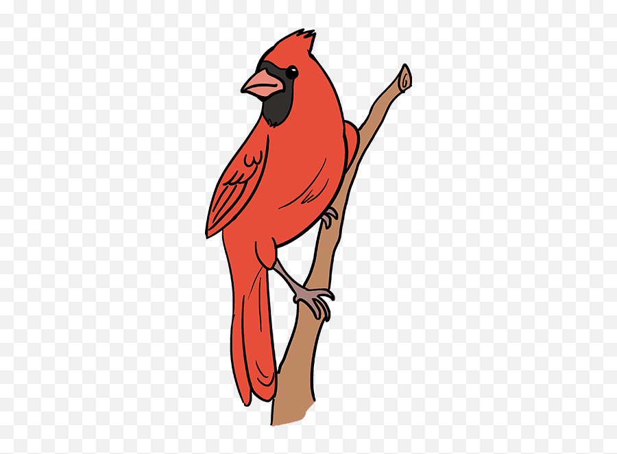 How To Draw A Cardinal Bird - Easy Drawing Of A Cardinal Emoji,Cardinal Bird Facebook Emoticon