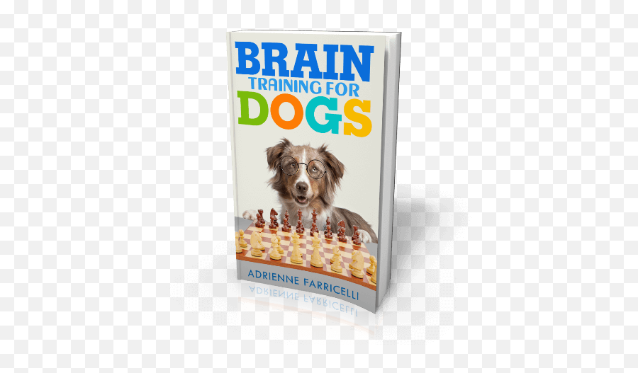 Brain Training For Dogs Review Emoji,Australian Shepherd Emotions