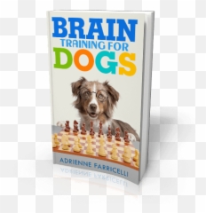Brain Training For Dogs Review Emoji,Australian Shepherd Emotions