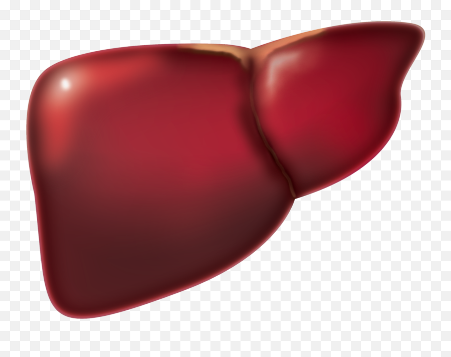 Spring Cleaning The Liver - Foie Png Emoji,Liver Meridian Emotions