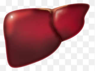 Spring Cleaning The Liver - Foie Png Emoji,Liver Meridian Emotions