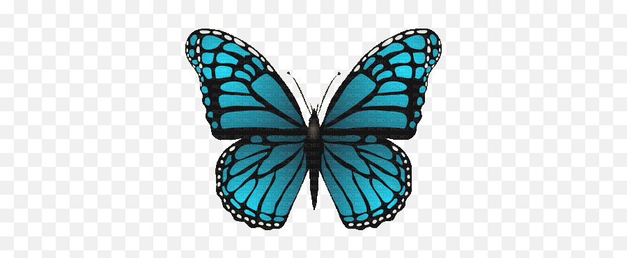 Papillon Papillon Ciel Bleu Bouger Love Peace Emoji,Peace Greeting Emoji