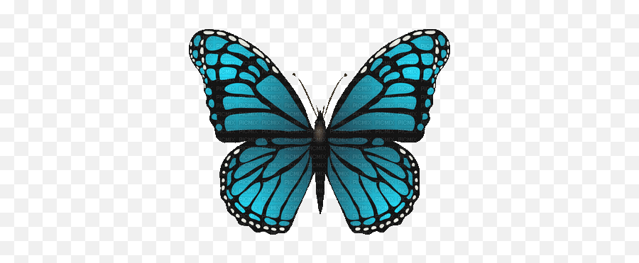 Papillon Papillon Ciel Bleu Bouger Love Peace Emoji,Peace Greeting Emoji Papillon Papillon Ciel Bleu Bouger Love Peace Emoji,Peace Greeting Emoji