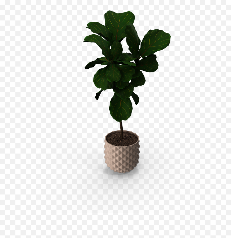 Pottedplant Indoorplant Sticker - Flowerpot Emoji,Potted Plant Emoji