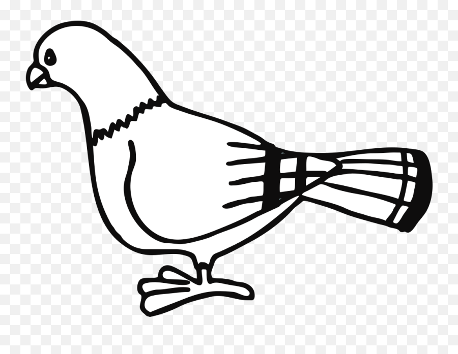 Pigeon For Coloringbook Png Svg Clip Art For Web - Download Outline Pigeon Clipart Emoji,Drake Bird Emoji