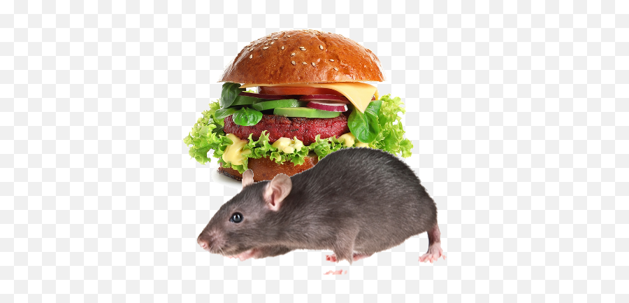Burger Rats By Gias Ahmed - Hamburger Emoji,Emojis Burger