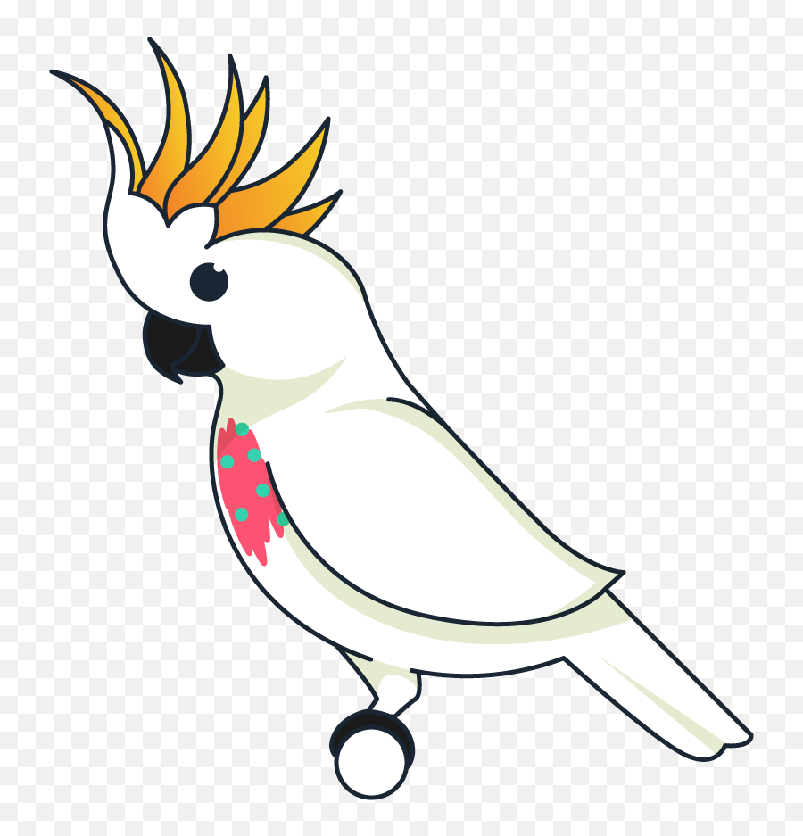 Help For Feather Plucking In Birds - Pet Birds Emoji,How Birds Show Emotions