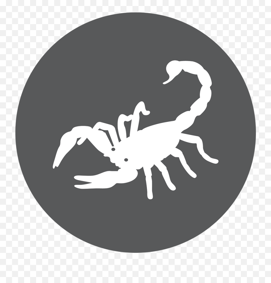 Scorpio The Scorpion - White Scorpion Transparent Background Emoji,Scorpio Girl And How They Handle Emotion