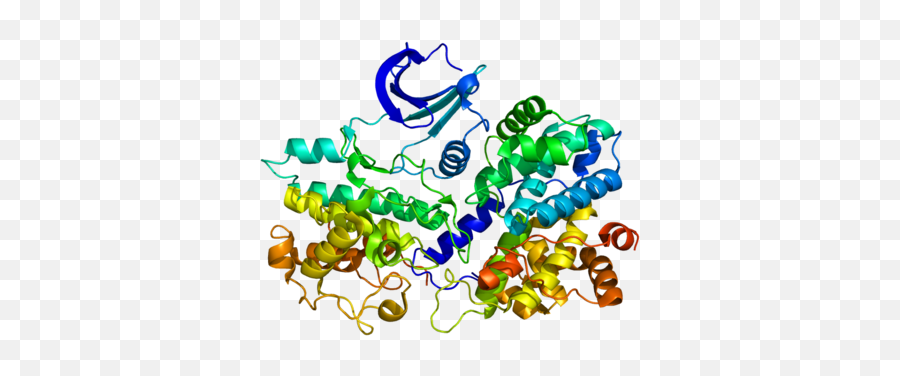 Cyclin E1 Owlapps - Protein Cyclin Emoji,Mitosis In Emojis