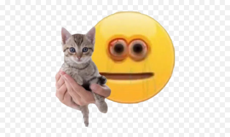 Cursed Emoji Whatsapp Stickers - Stickers Cloud Cursed Emoji,Cat With Hand Emojis