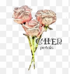 Owner Page Cher Petals - Lovely Emoji,Cher New Emotion