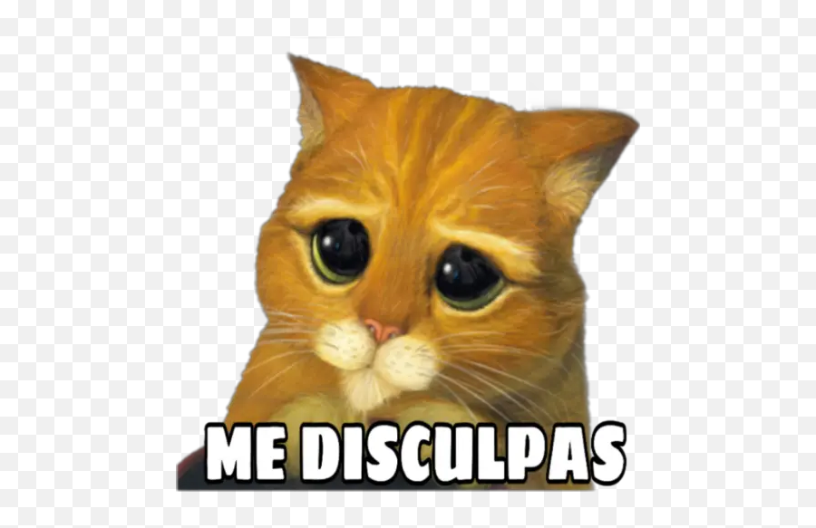 gatitos tristes Stickers for WhatsApp