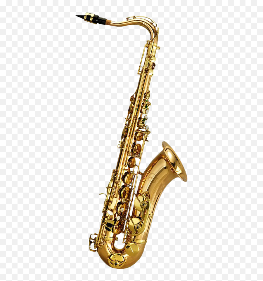 Baritone Saxophone Wind Instrument Clarinet Family - Baritone Saxophone No Background Emoji,Oboe Emoji