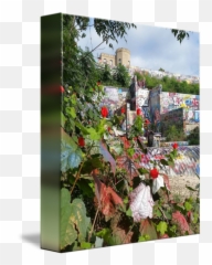 Graffiti Hill - Hollyhocks Emoji,Human Emotion Tree Art
