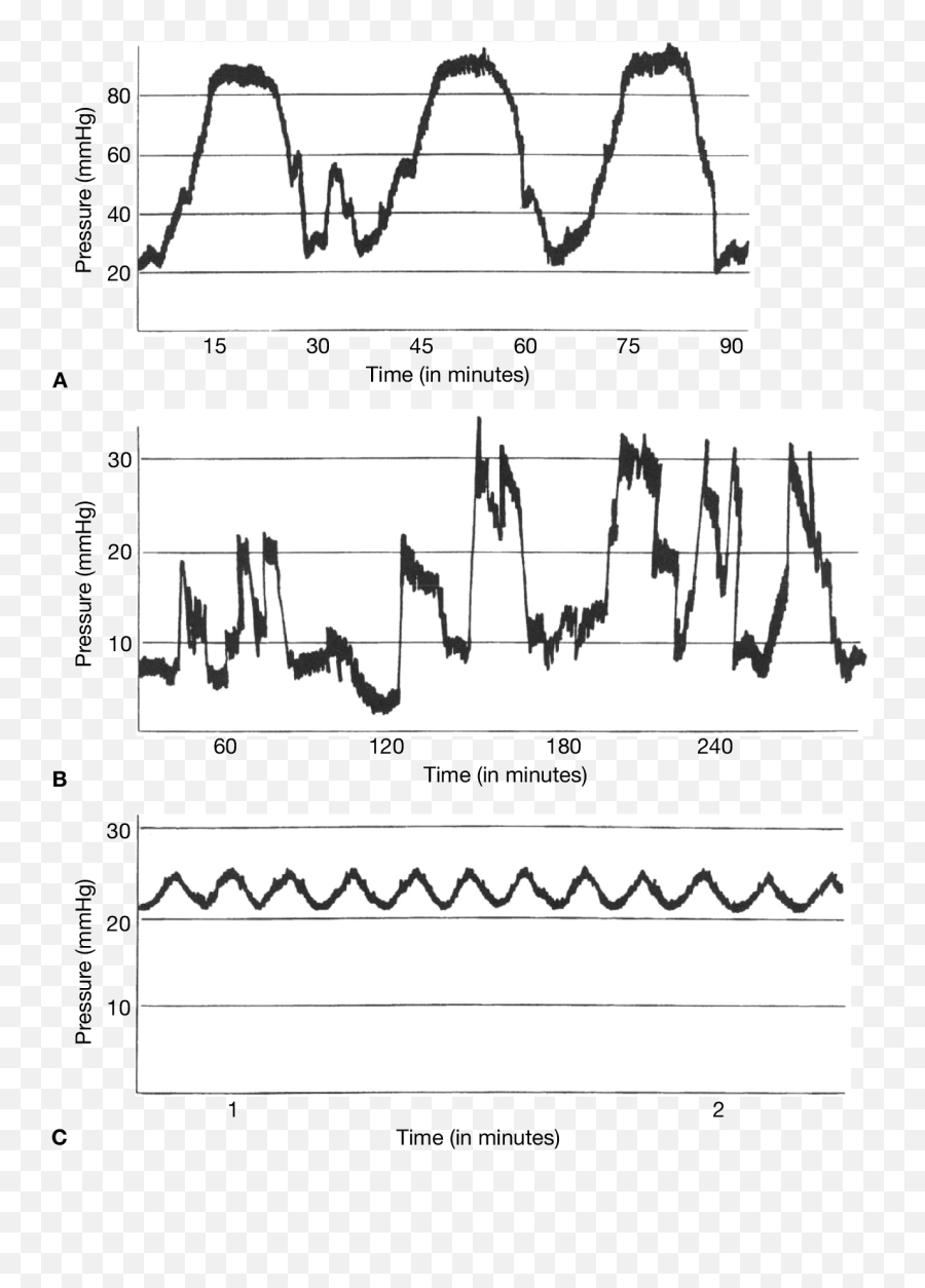 Neurologic System Springer Publishing - Plot Emoji,Autonomic Nervous System Chart For Emotion