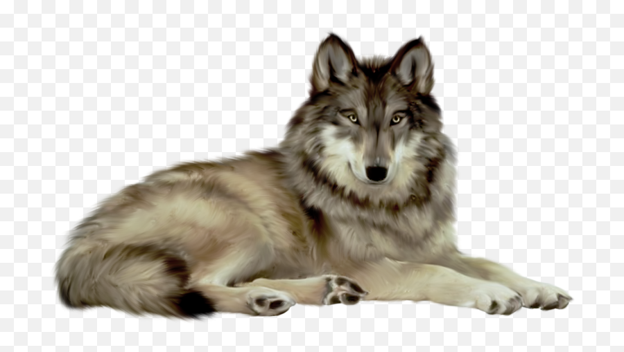 Prism Book Tours Archives - Fundinmentalfundinmental Wolf Png Emoji,Purple Horned Emoticon Meaning