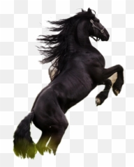 Popular And Trending Arre Stickers Picsart - Animal Figure Emoji,Horse Arm Emoji