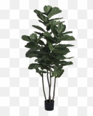 84 Artificial Fiddle Leaf Fig Tree In Pot Liner Emoji,The Glass Case Of Emotions Fiddle