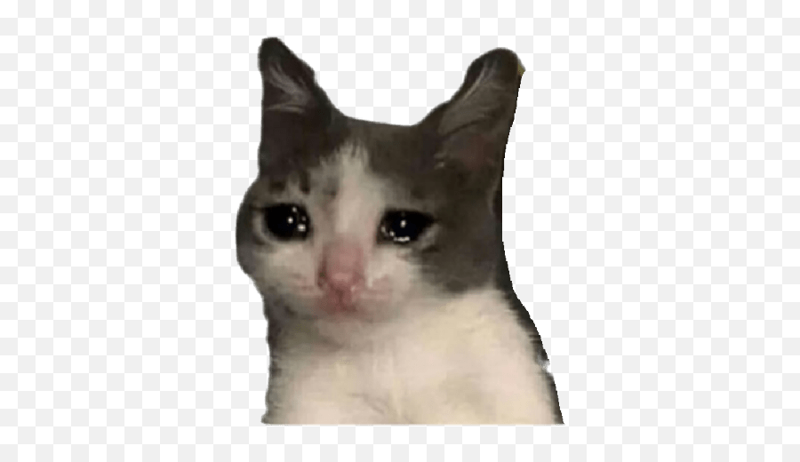 Tiburcio Emoji,Cat Crying Emoji