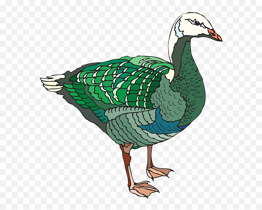 Goose Clipart Brown Duck Goose Brown - Angsa Berwarna Emoji,Canadian Goose Emoji