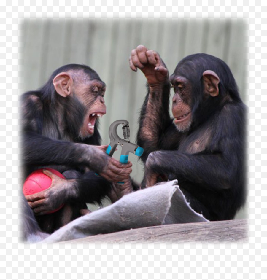 Meh Pop Sockets - Chimpanzee Shaking Hands Emoji,Emoji Sherrif