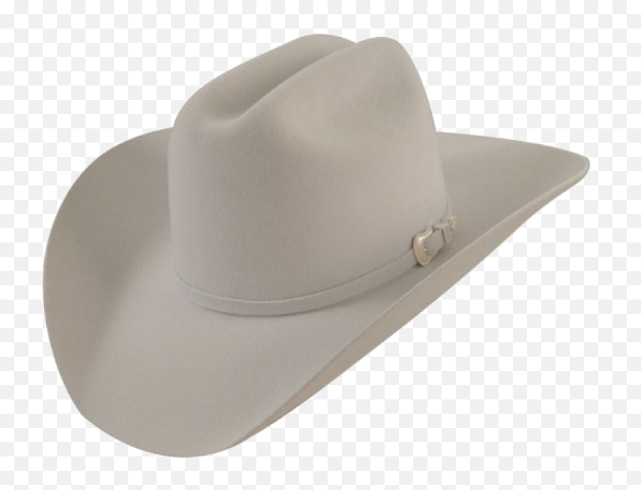 Cowboy Hat Stetson Resistol - Hat Png Download 850655 Stetson 100x Emoji,Cowboy Syndrome Emotions