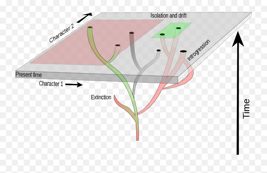 Systematics - Wikipedia Systematics Biology Emoji,Bioligal Elemnts Of Emotion