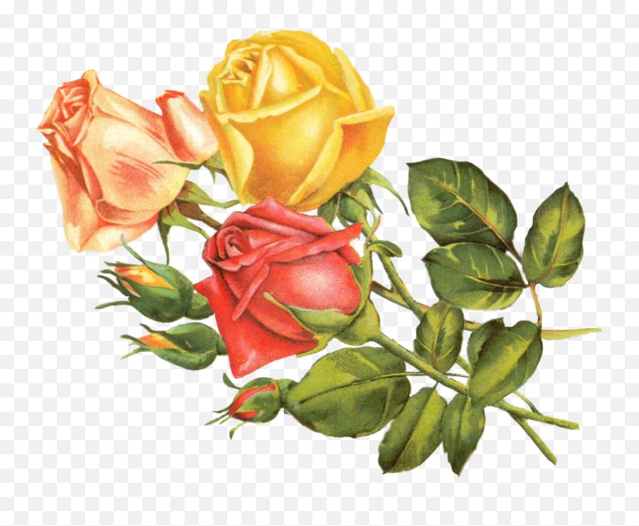 Clip Art Yellow Rose - Clip Art Library Flower Vintage Clipart Png Emoji,Yellow Rose Emoticon