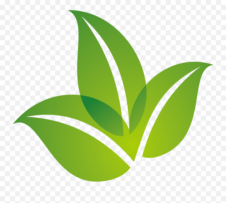 Download Logo Design Leaf Green Spring Free Transparent - Leaf Logo Png Emoji,Green Leaf Emoticon