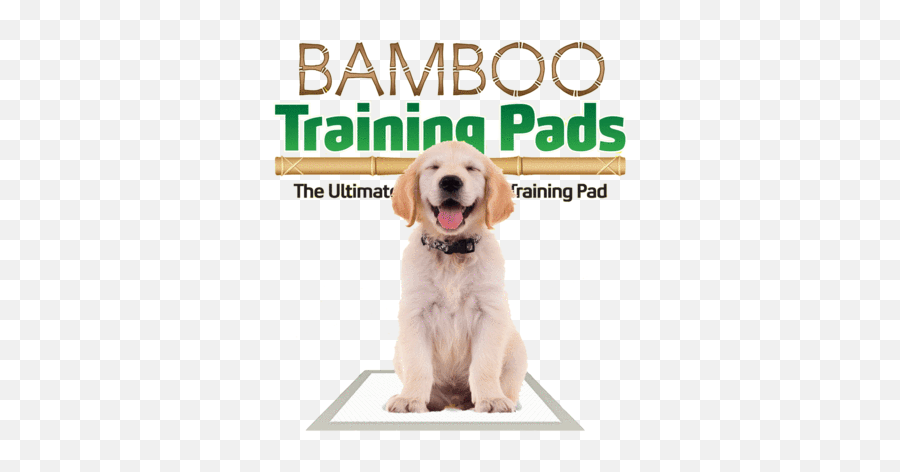Unique Affordable Eco - Friendly Products The Green Pet Shop Biodegradable Dog Pads Emoji,Happy Birthday Emoticons With Labrador Retriever