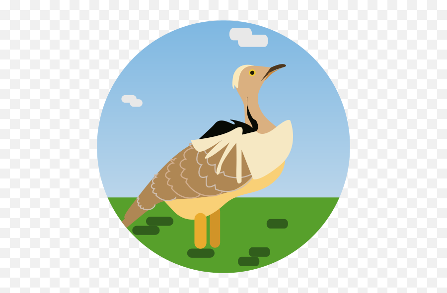 Hubara Bird Animal Wildlife Free Icon Of Canarian Land - Flightless Bird Emoji,Alpaca Msn Emoticon