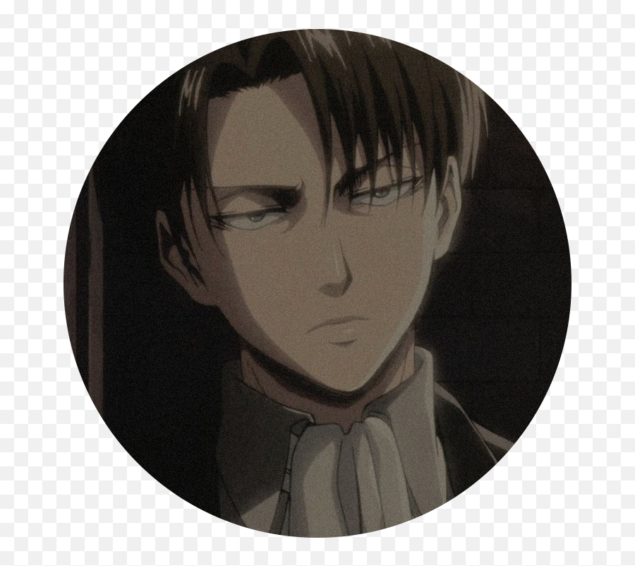 Pin On Snk - Levi Ackerman Icon Emoji,Sakura Card Captor Screencaps Emotion