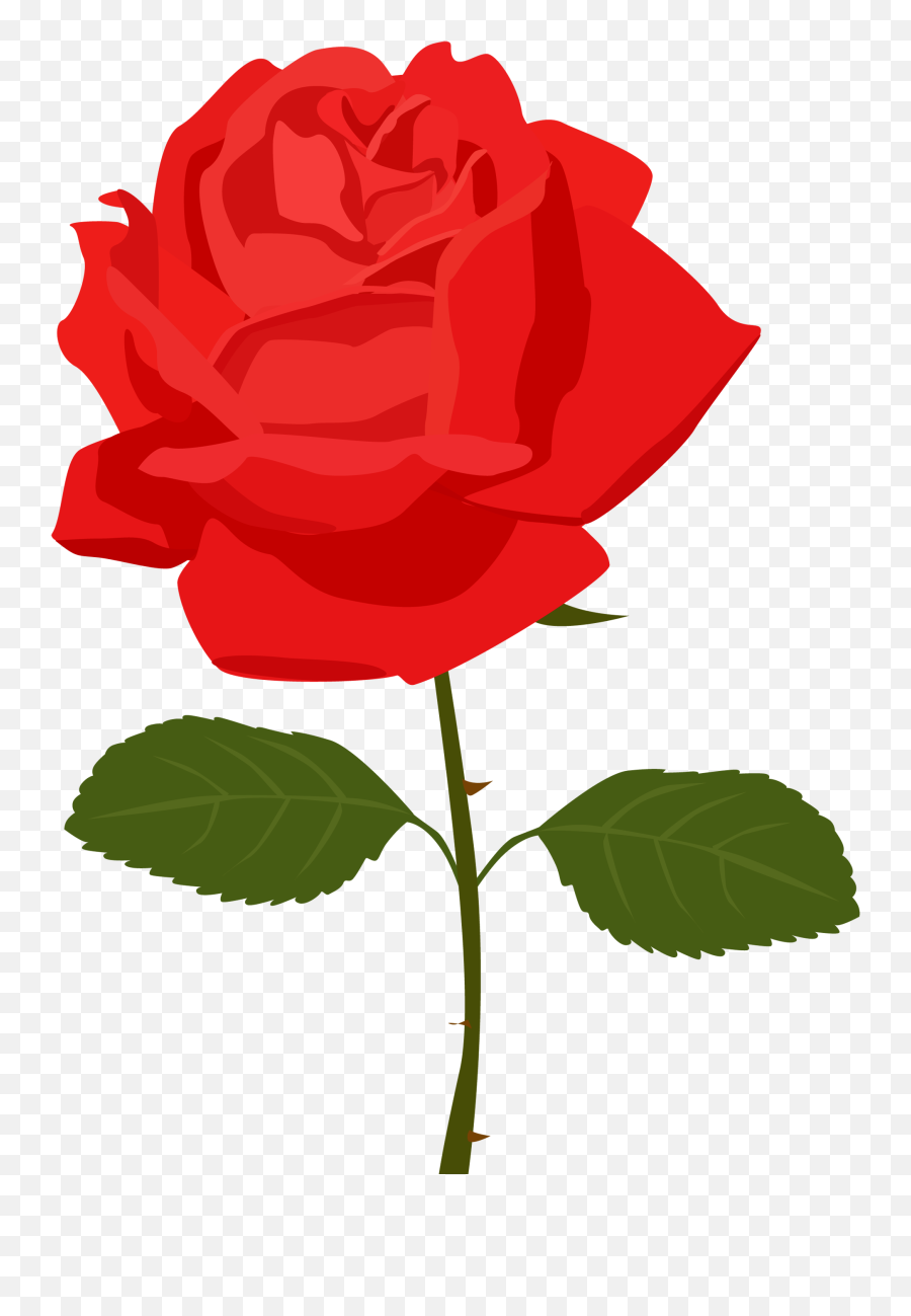 Dozen - Rosa Clipart Png Emoji,Single Red Rose Emoticon