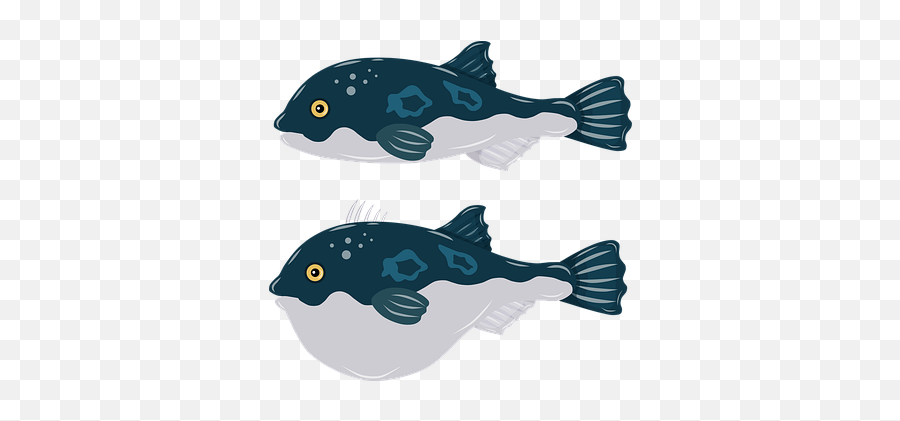 Pez Gráficos Vectoriales - Descarga Imágenes Gratis Pixabay Fishes Emoji,Puffer Fish Emoji