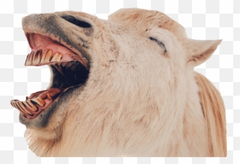 The Most Edited - Aesthetic Profile Pictures For School Emoji,Clip On Emoji Squisy