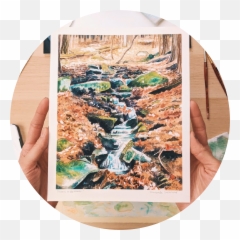 Kim Everhard Art - Fine Art Inspired By Nature Kim Everhard Art Emoji,Art Eye Emotions