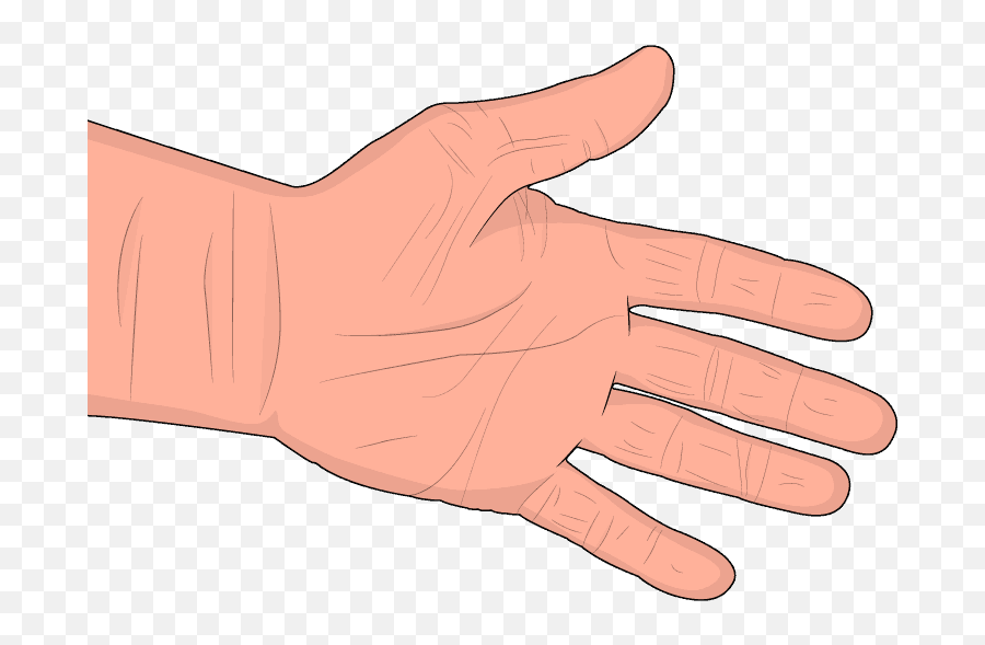 Hand Arm Vibration Syndrome U0026 Safety Solutions Ergodyne Emoji,Hands Up Emoji Real Life